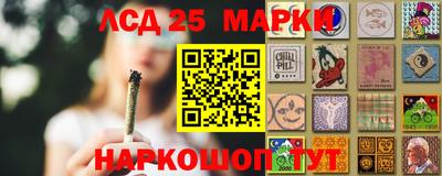 прущие грибы Гусиноозёрск