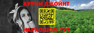 прущие грибы Гусиноозёрск