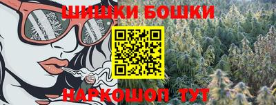 дмт Дубна