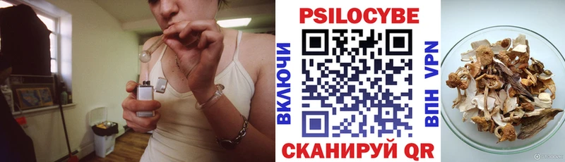 Галлюциногенные грибы Psilocybe  Михайловка 
