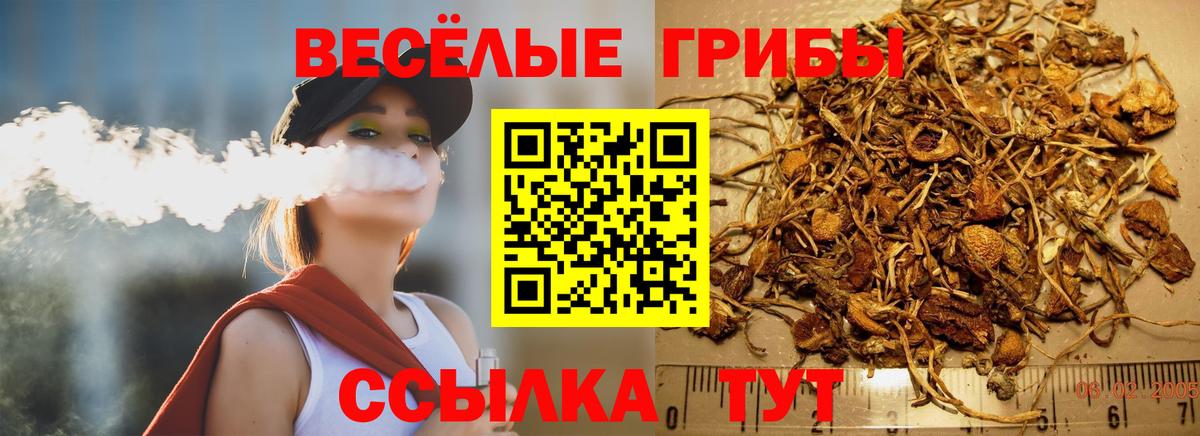 Галлюциногенные грибы MAGIC MUSHROOMS  Вход с VPN  Михайловка 